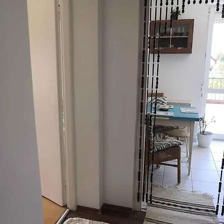 In - Balaton 48108 *